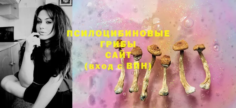 Галлюциногенные грибы Magic Shrooms  ОМГ ОМГ как войти  Белинский 